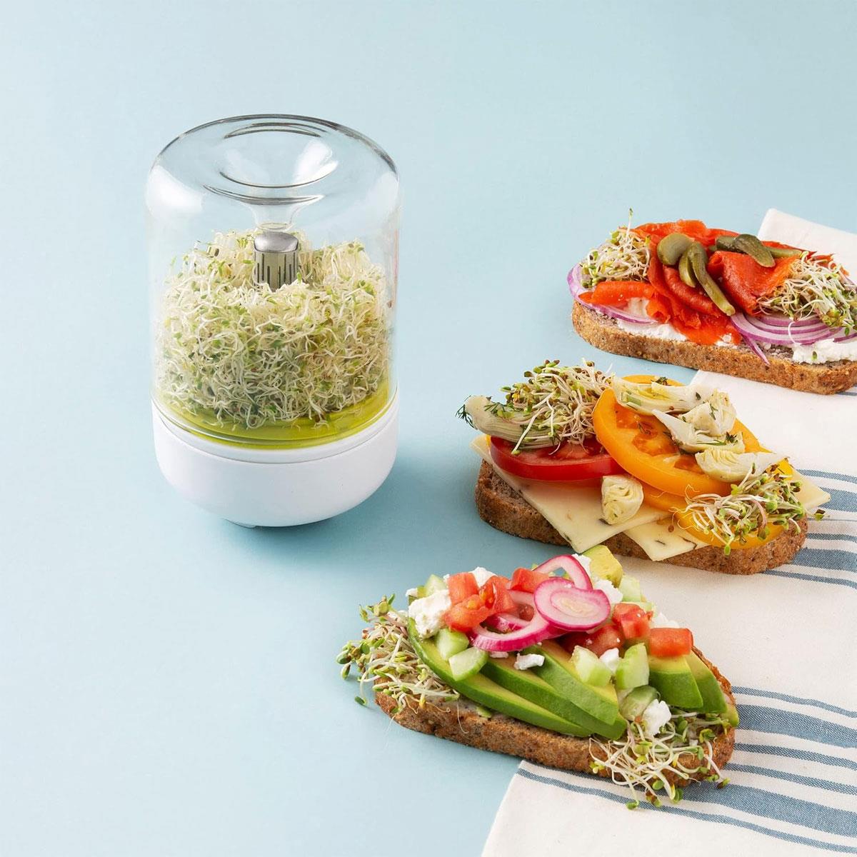 Chef'n Countertop Sprouter Growing Kit Glass Sprouting Jar with Ventilation Adjustable Screen & Pour Spout White - Image 2