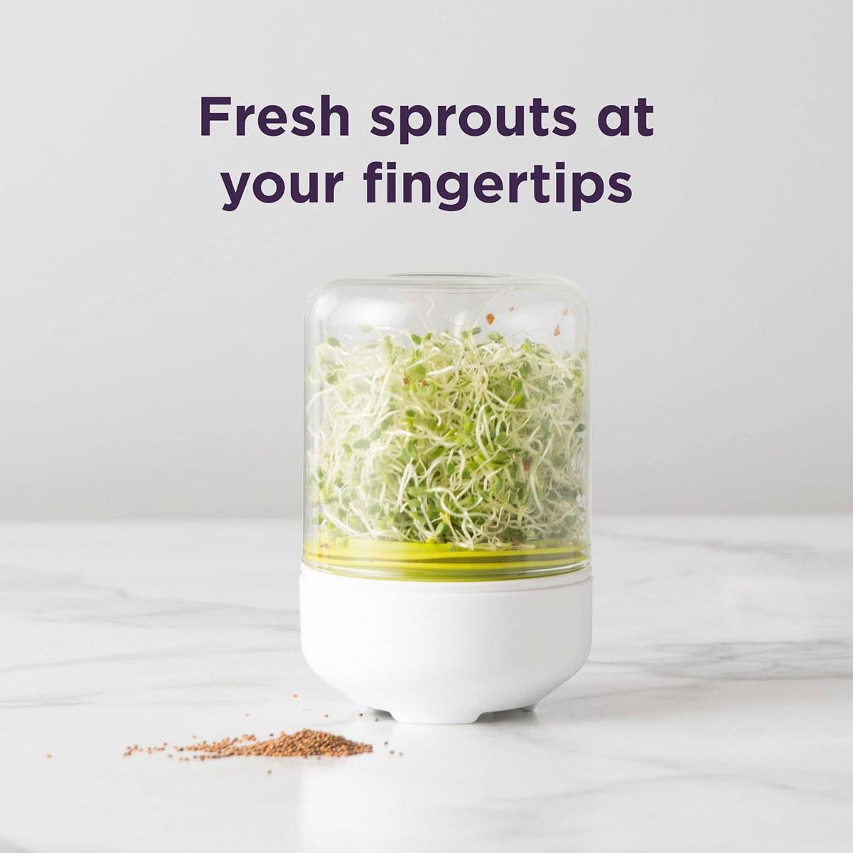 Chef'n Countertop Sprouter Growing Kit Glass Sprouting Jar with Ventilation Adjustable Screen & Pour Spout White - Image 4