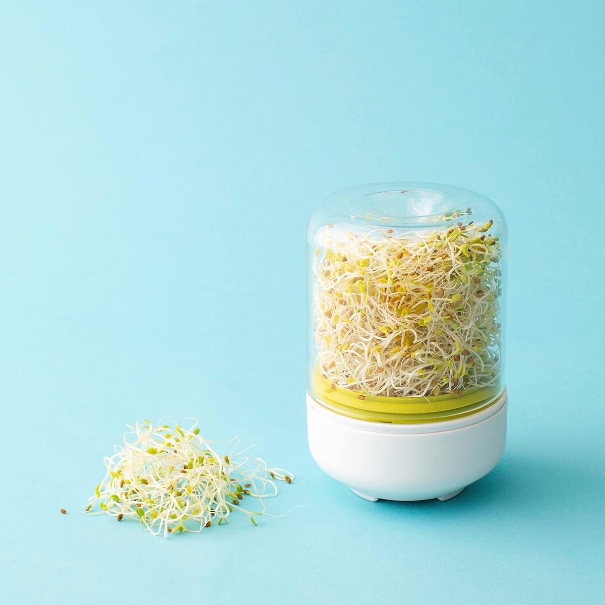 Chef'n Countertop Sprouter Growing Kit Glass Sprouting Jar with Ventilation Adjustable Screen & Pour Spout White - Image 5