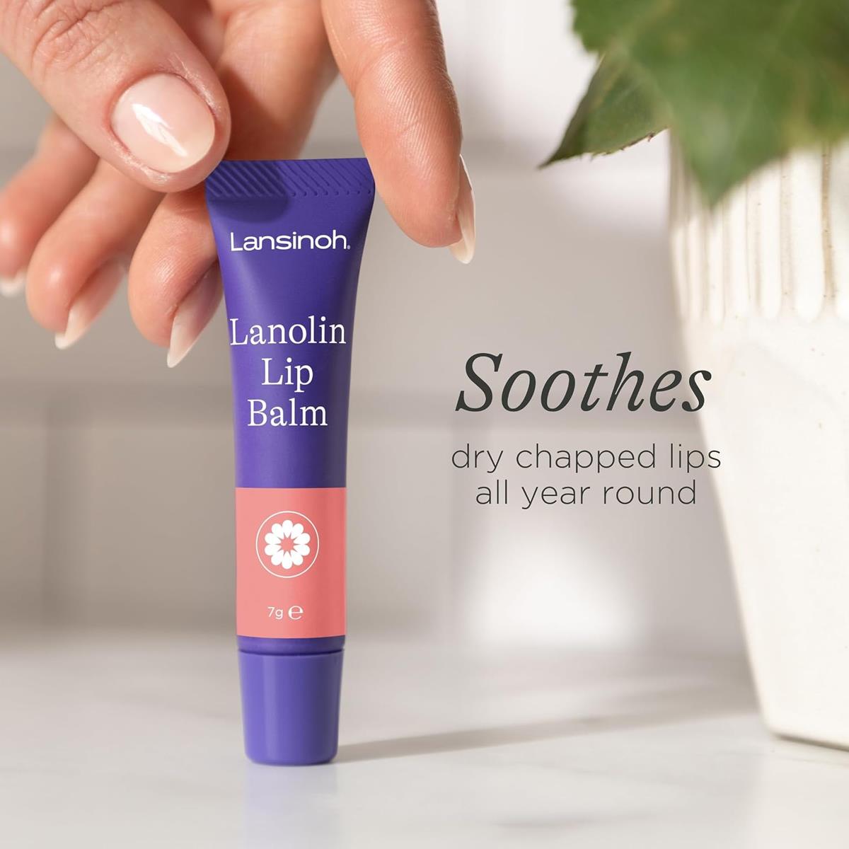 Lansinoh Lanolin Lip Balm For Dry Cracked Lips 100% Natural Lanolin Fragrance Free Hypoallergenic 7ml - Image 3