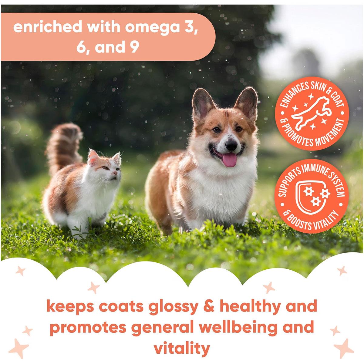 Buddycare Scottish Salmon Oil for Dogs & Cats Omega 3 Fish Oil Supplement Skin & Coat Support 500ml - Image 3