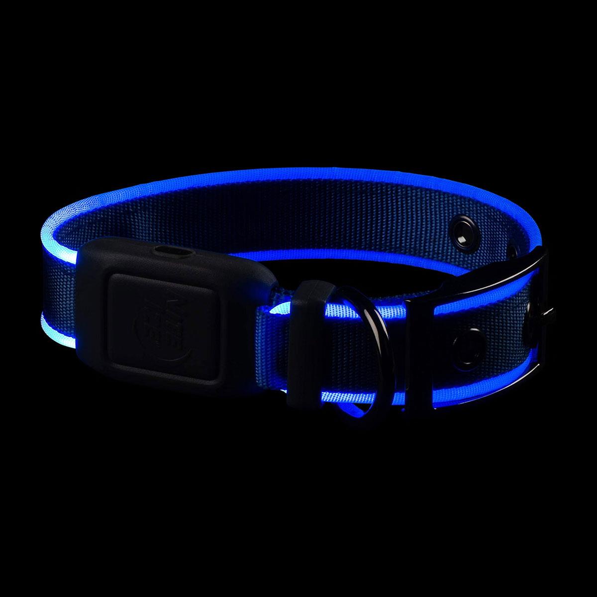 Nite Ize NiteDog Rechargeable LED Dog Collar Small Blue 360° Visibility Water Resistant Metal Buckle - Image 4